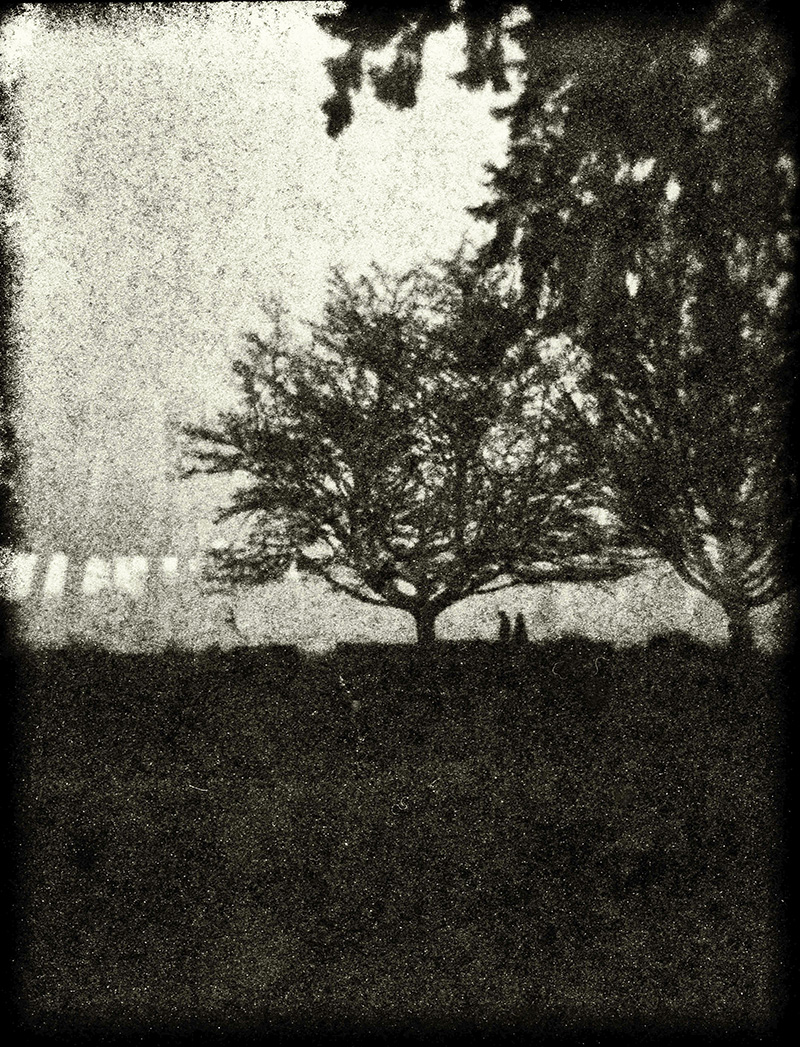 Holga Fomapan 400