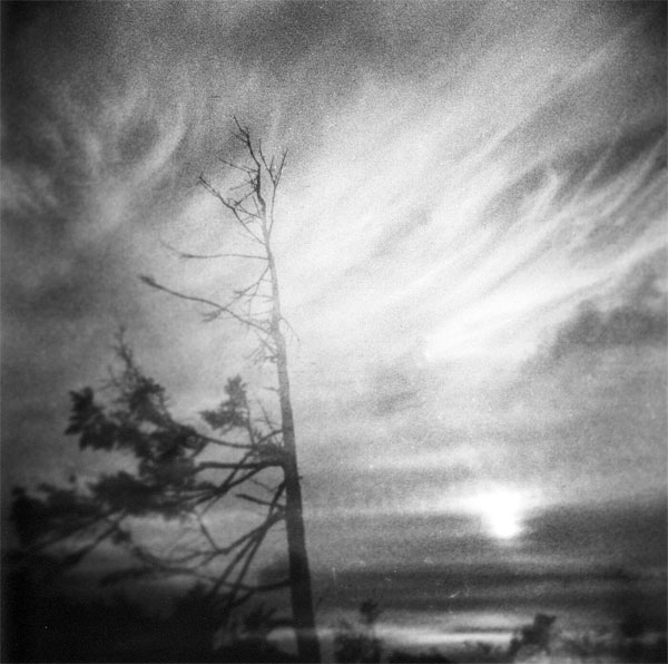 Holga natur