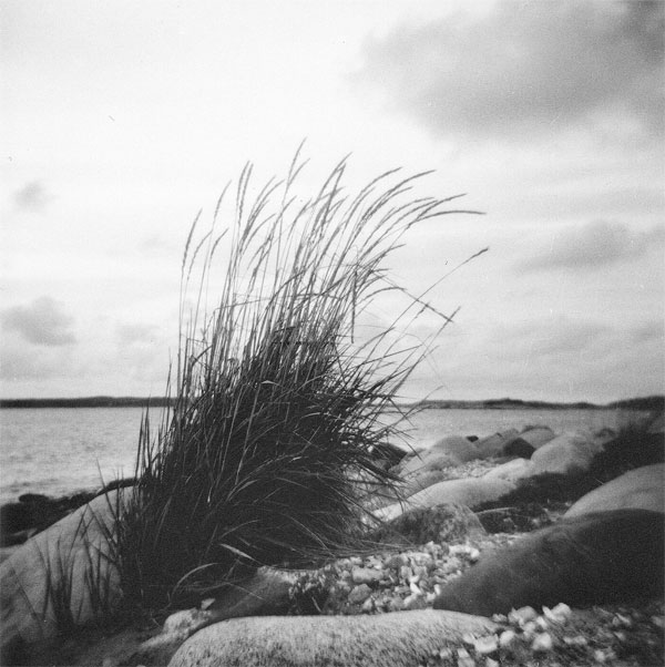 Holga natur