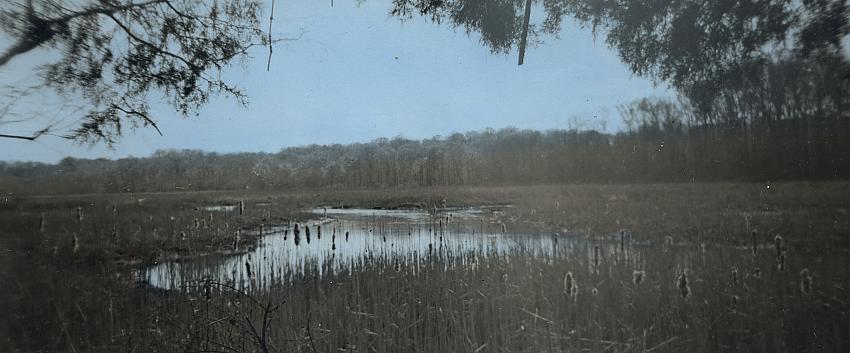 Holga Pano-hand colored