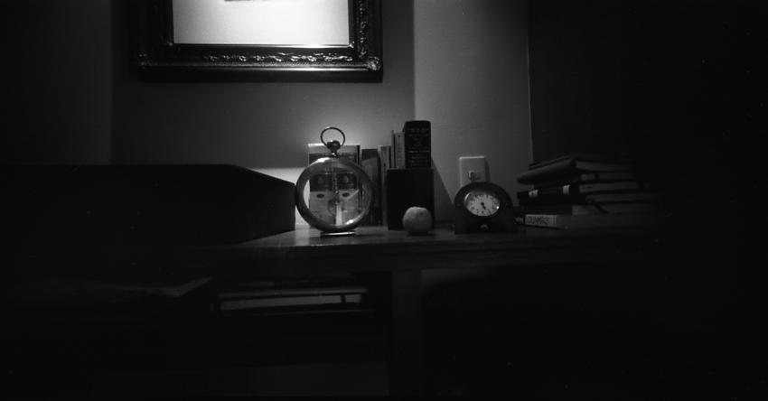 Holga panoramic close up