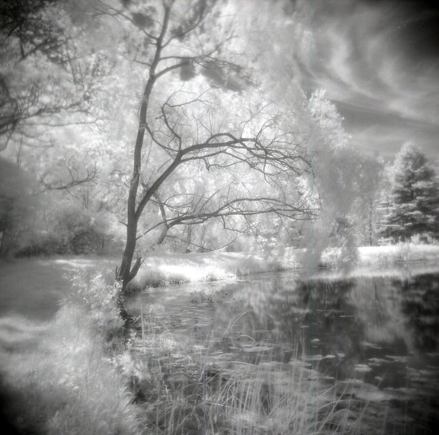 Holga Pics At Ne Oh Gathering