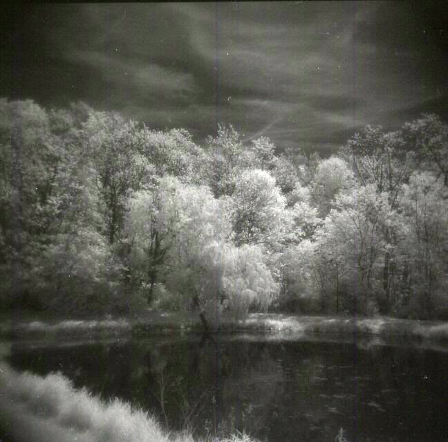 Holga Pics At Ne Oh Gathering