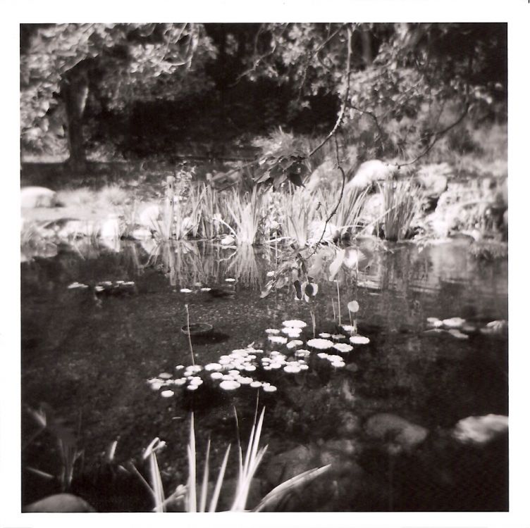 Holga Pond