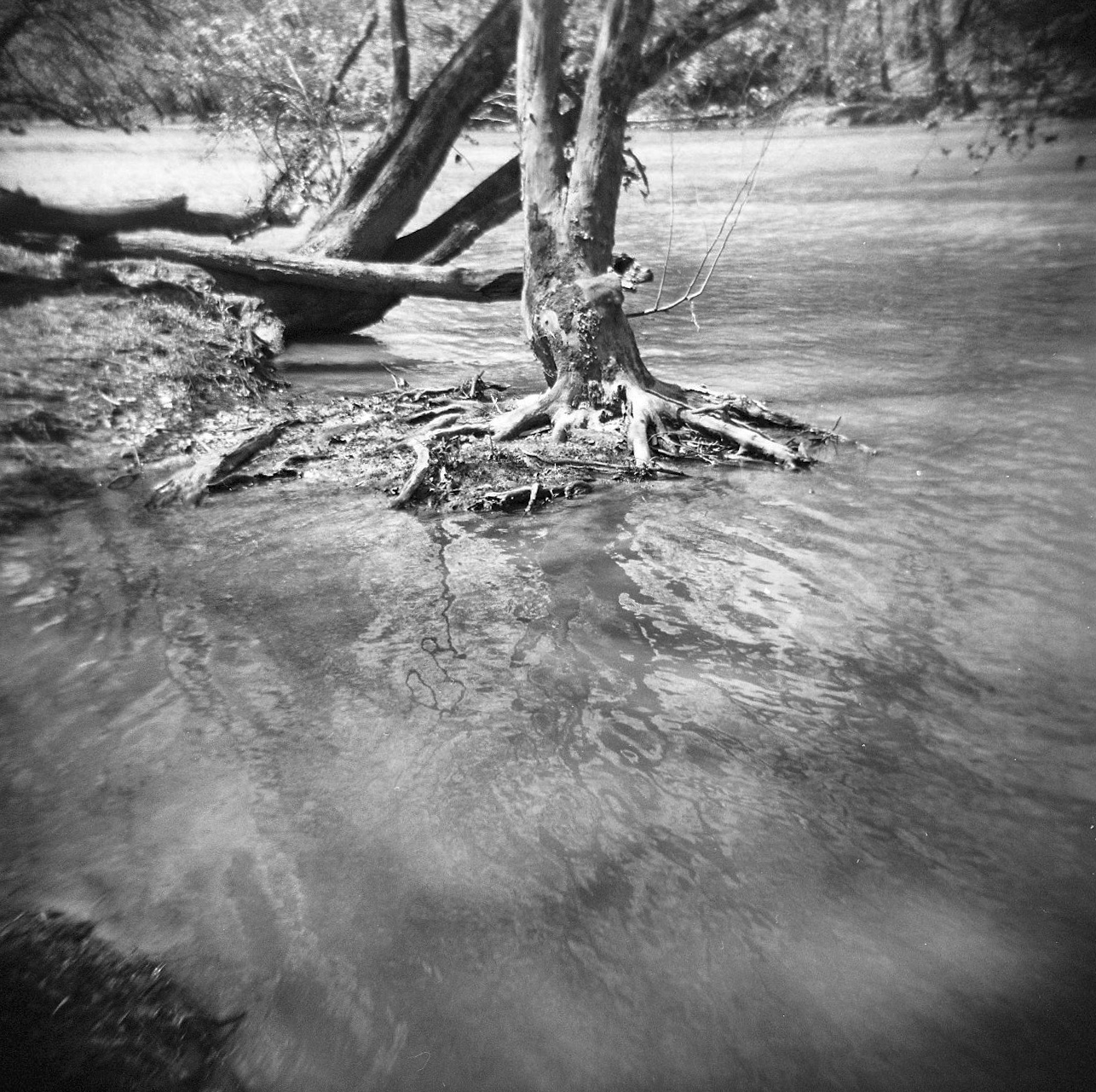 Holga river shot