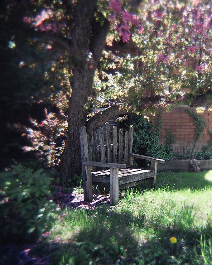 Holga