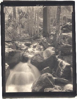 HOLLY RIVER