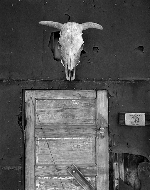 Home on the Range