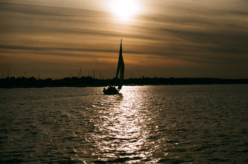 homeward bound