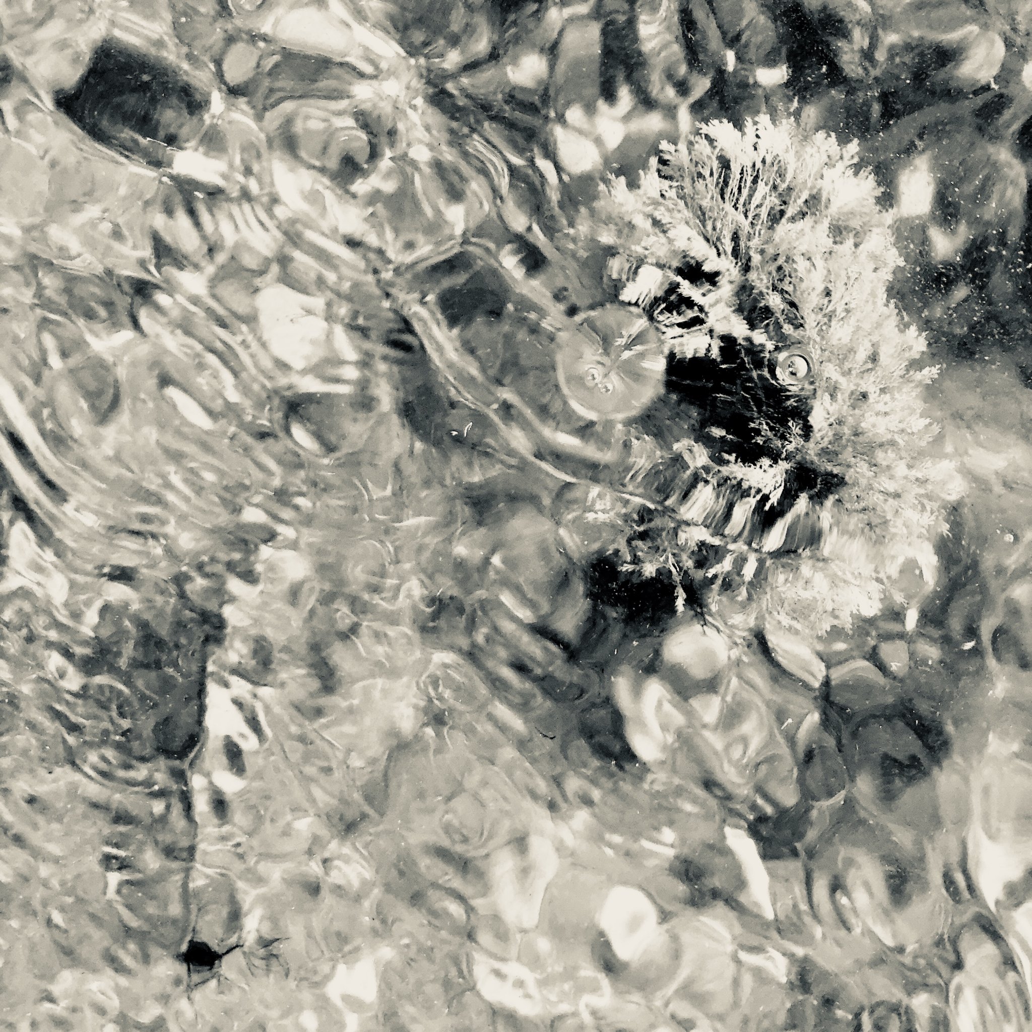 hommage à monsieur jean