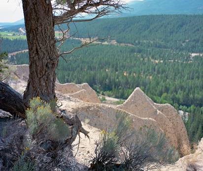 Hoodoo And Tree
