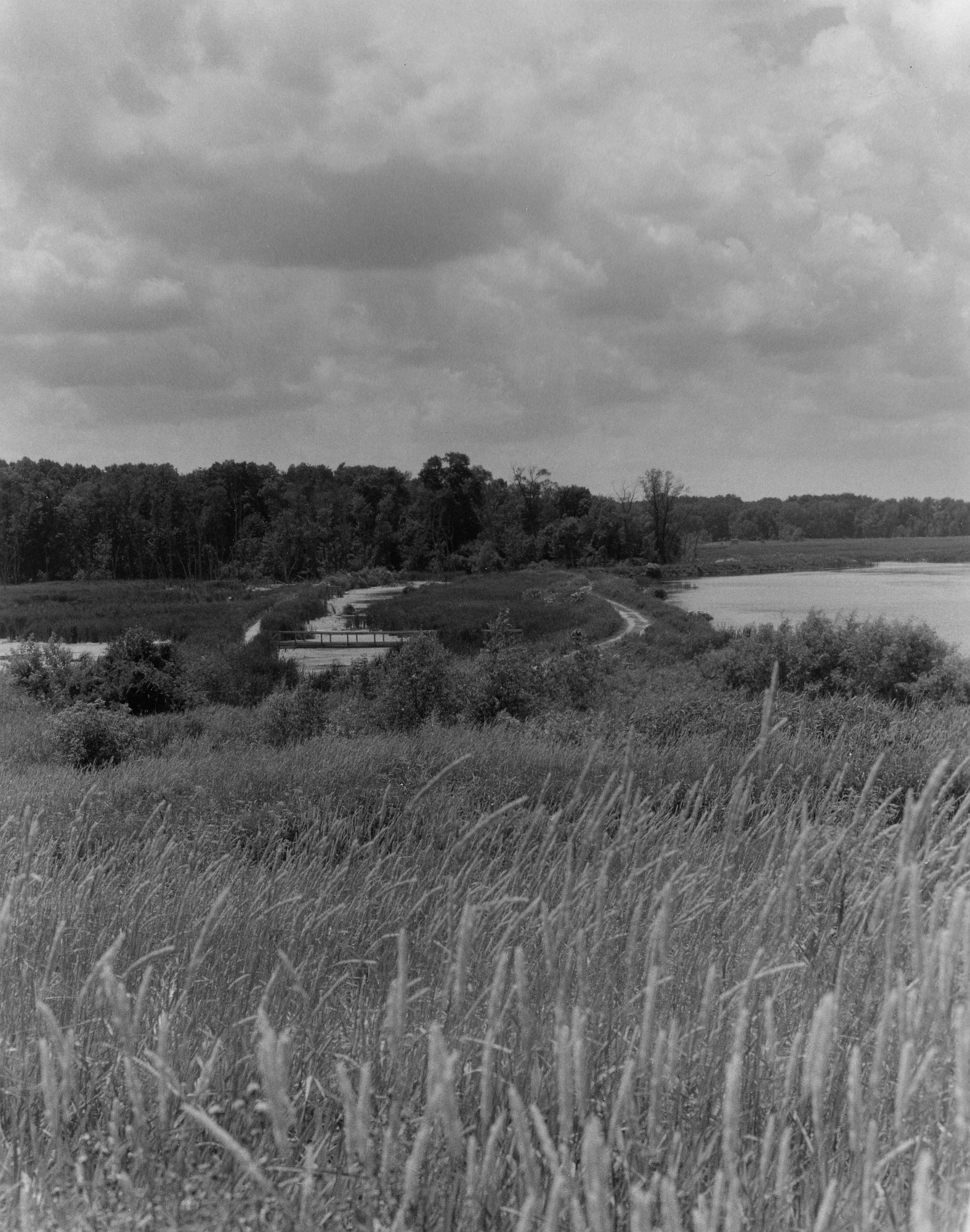 Horicon Marsh-9Horicon Marsh-9