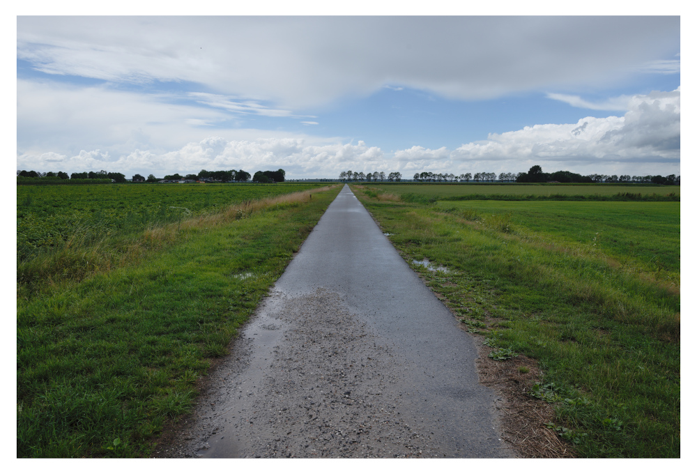 Horizon, summer rain