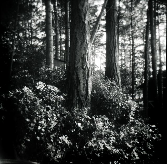 hornby island B.C.