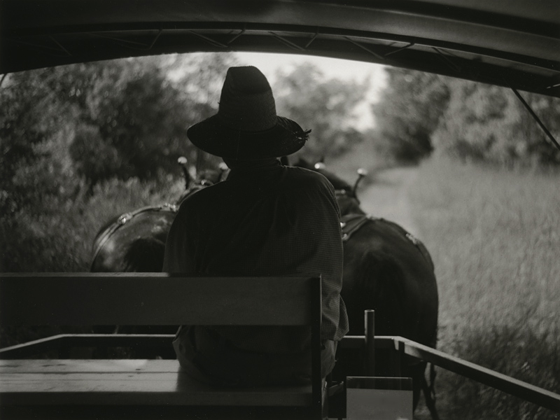 Horse Carriage Ride