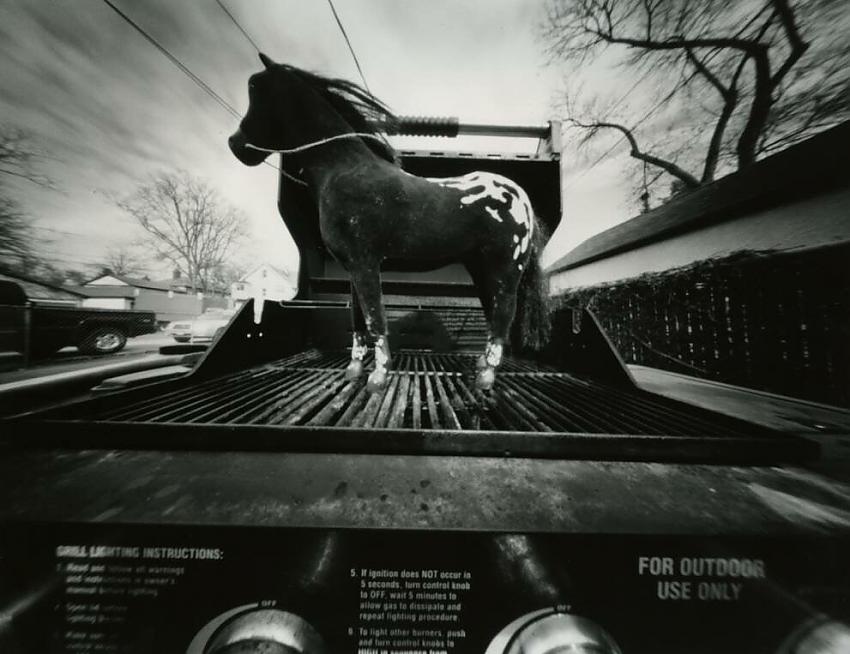 Horse on the grill