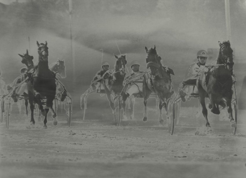 Horse racing