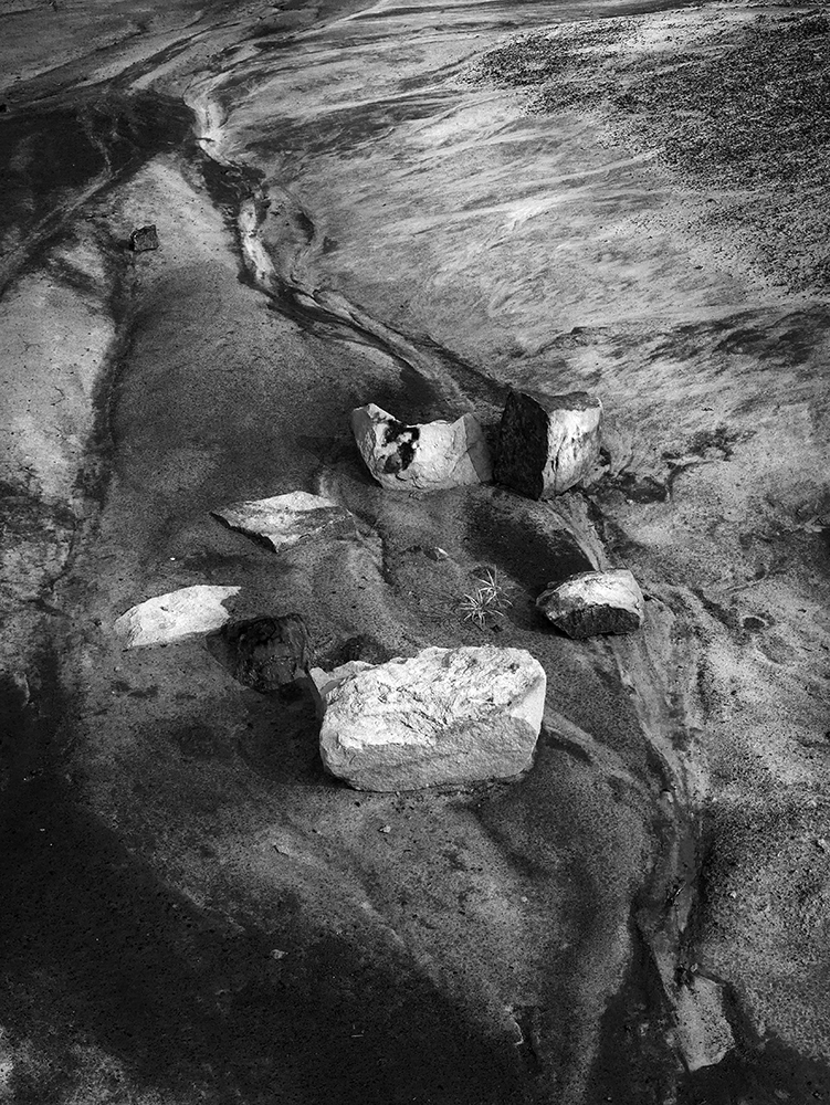 Horseshoe Canyon Rocks In Stream