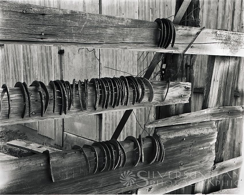 Horseshoes on a Fence