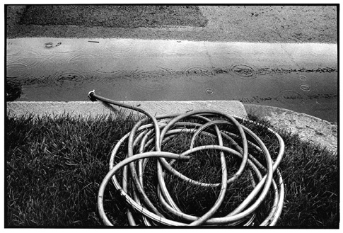 Hose