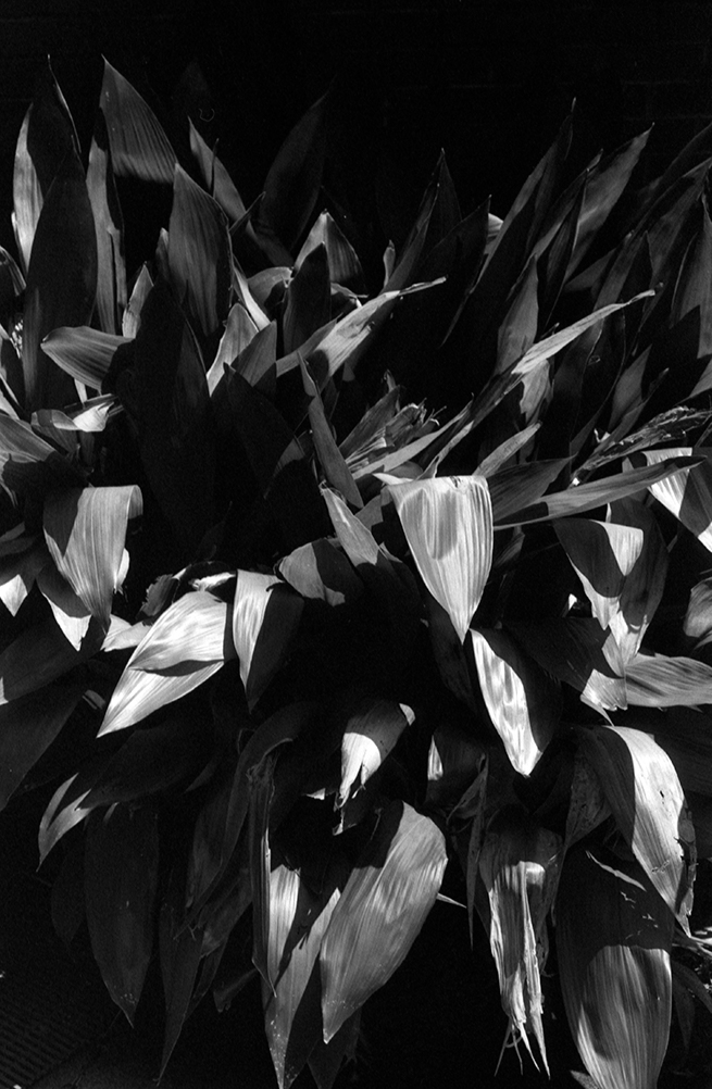 Hosta la vista, baby