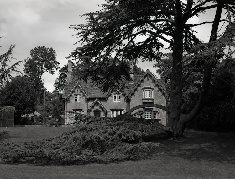 House - Victoria Park - Bath