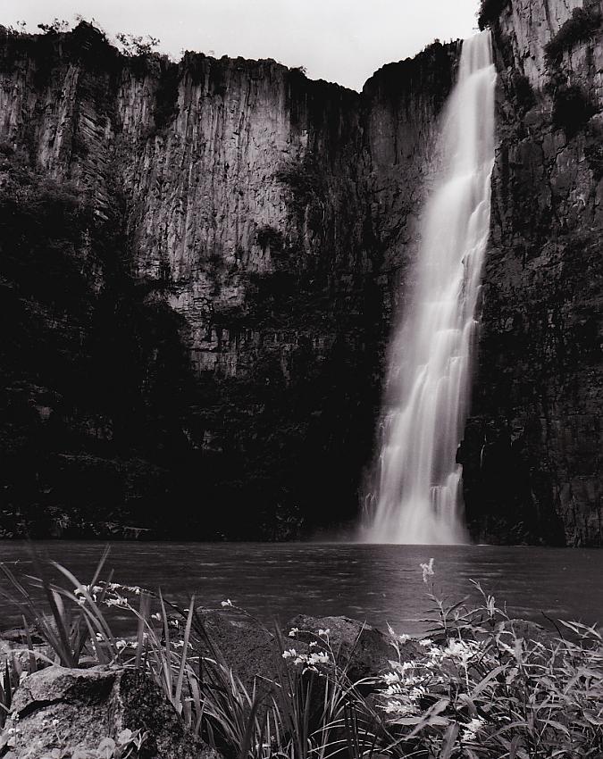 Howick Falls and Flowers
