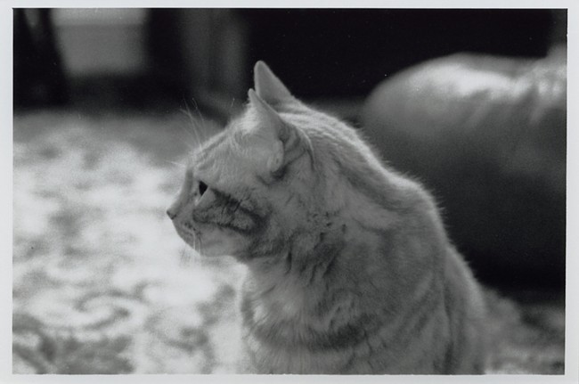 HP5+ @ EI3200 in Rodinal 1+25.