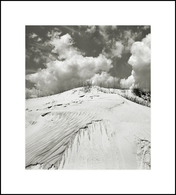 Huguenot Beach Dune