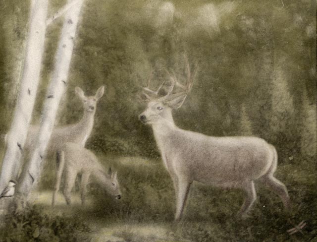 Hunters Dream