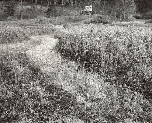 Hunting Stand - Portersville, PA