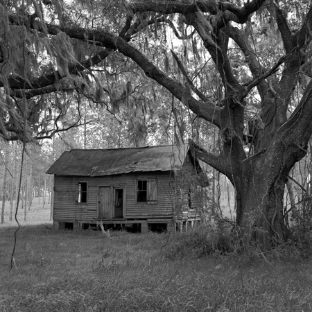 hut and oak