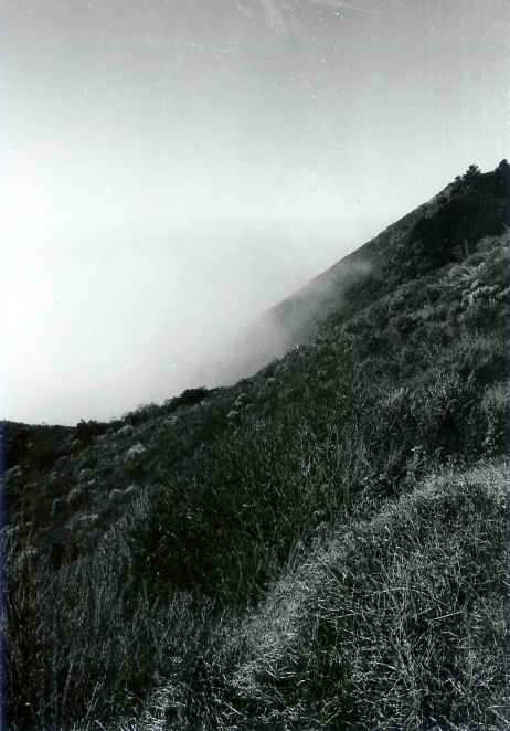 Hwy 1, Above the fog