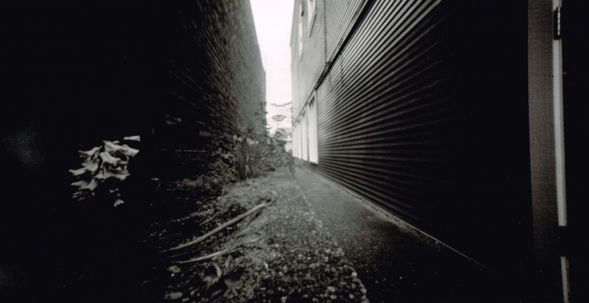 Hyacinth Alley