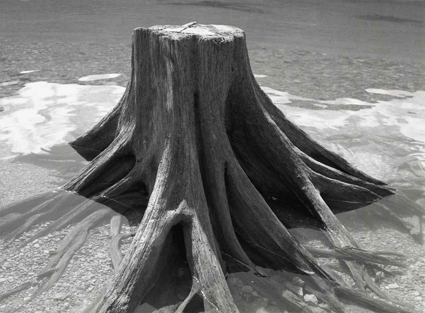 I’m stumped!