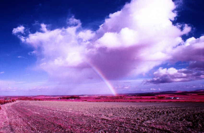 I can see a rainbow..