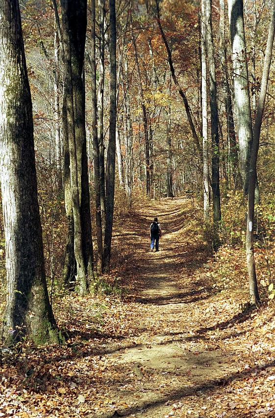 I took the one less traveled by