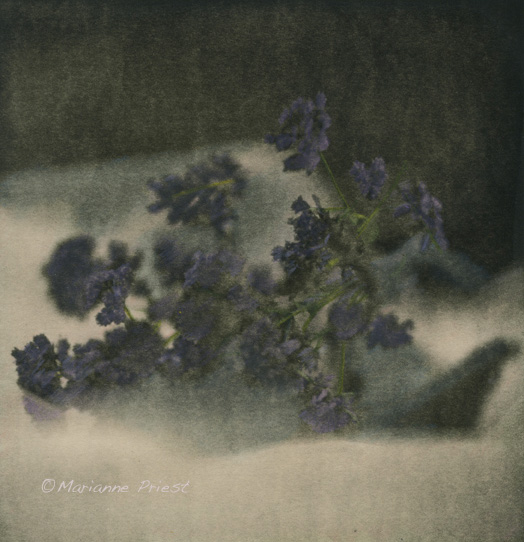 i will remember you hc