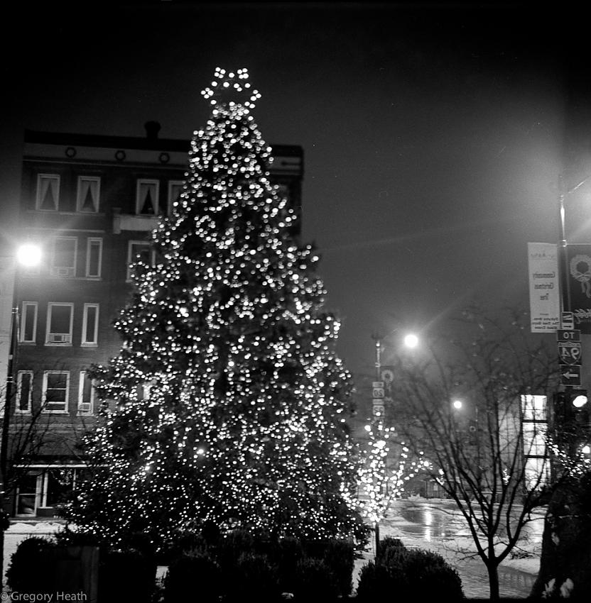 I wish I had never been born...