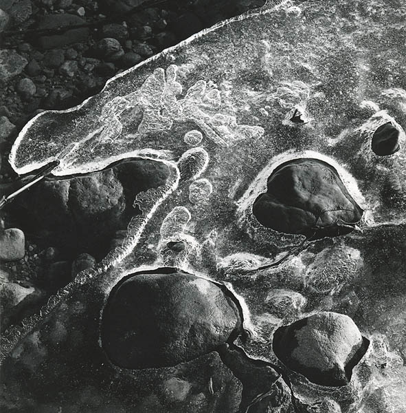 Ice Amoeba
