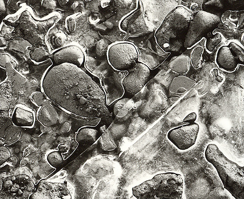 Ice and Rocks