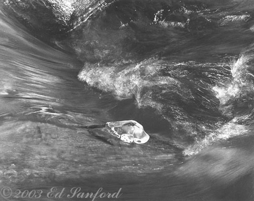 Ice Crystal & Rapids