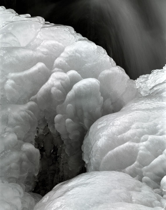 Ice Form #1