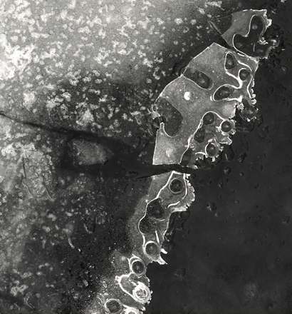 Ice Patterns