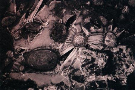 Ice Puddle 1