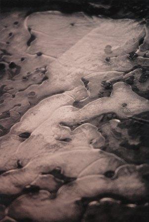 Ice Puddle 3