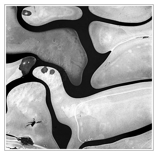 Ice shapes