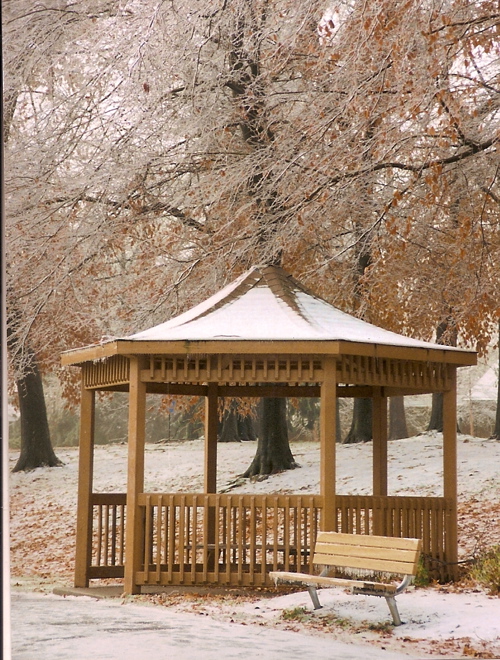 Ice Storm Aftermath