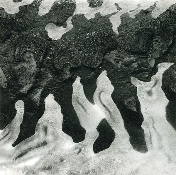 Ice Tendrils, Eagle Creek