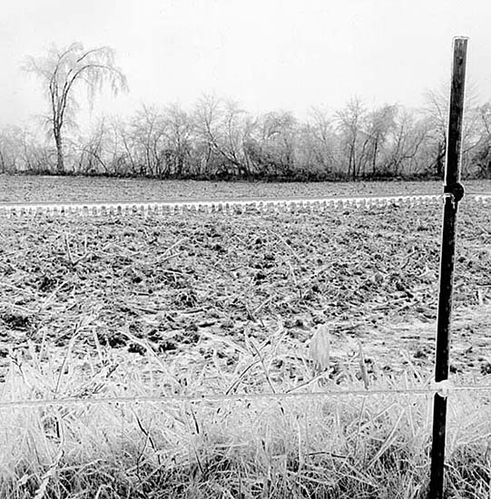 Iced Landscape